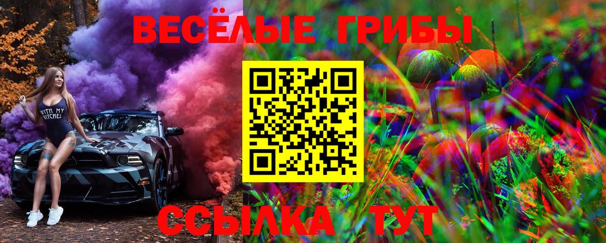 купить наркотик  Галлюциногенные грибы Psilocybine cubensis  Вход с VPN  Астрахань 