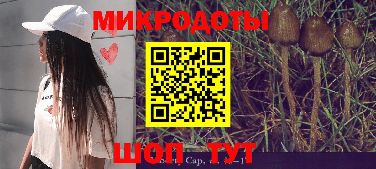 Галлюциногенные грибы Magic Shrooms Астрахань